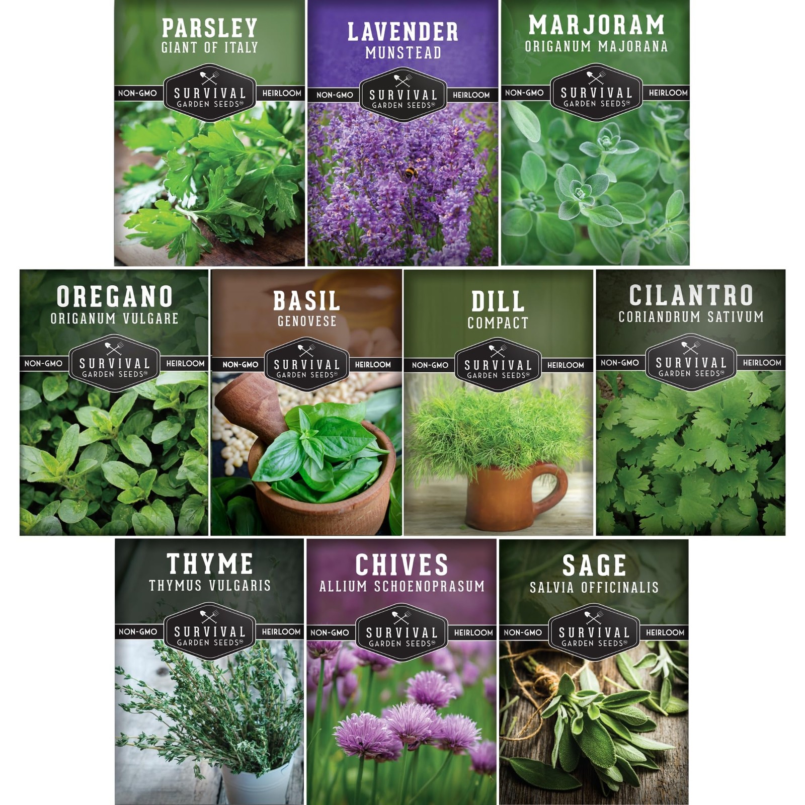 Herb Seeds Variety Pack | 10 Culinary Herbs for Planting – Basil, Cilantro, L…