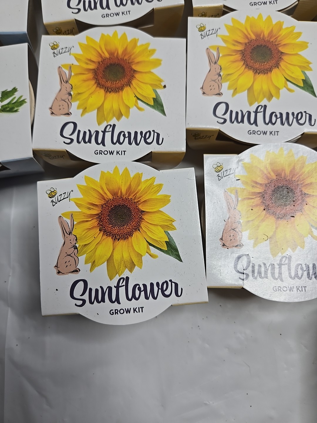 Buzzy Lot Of 36 Grow Kit Sunflower, Carrot, Daisy
