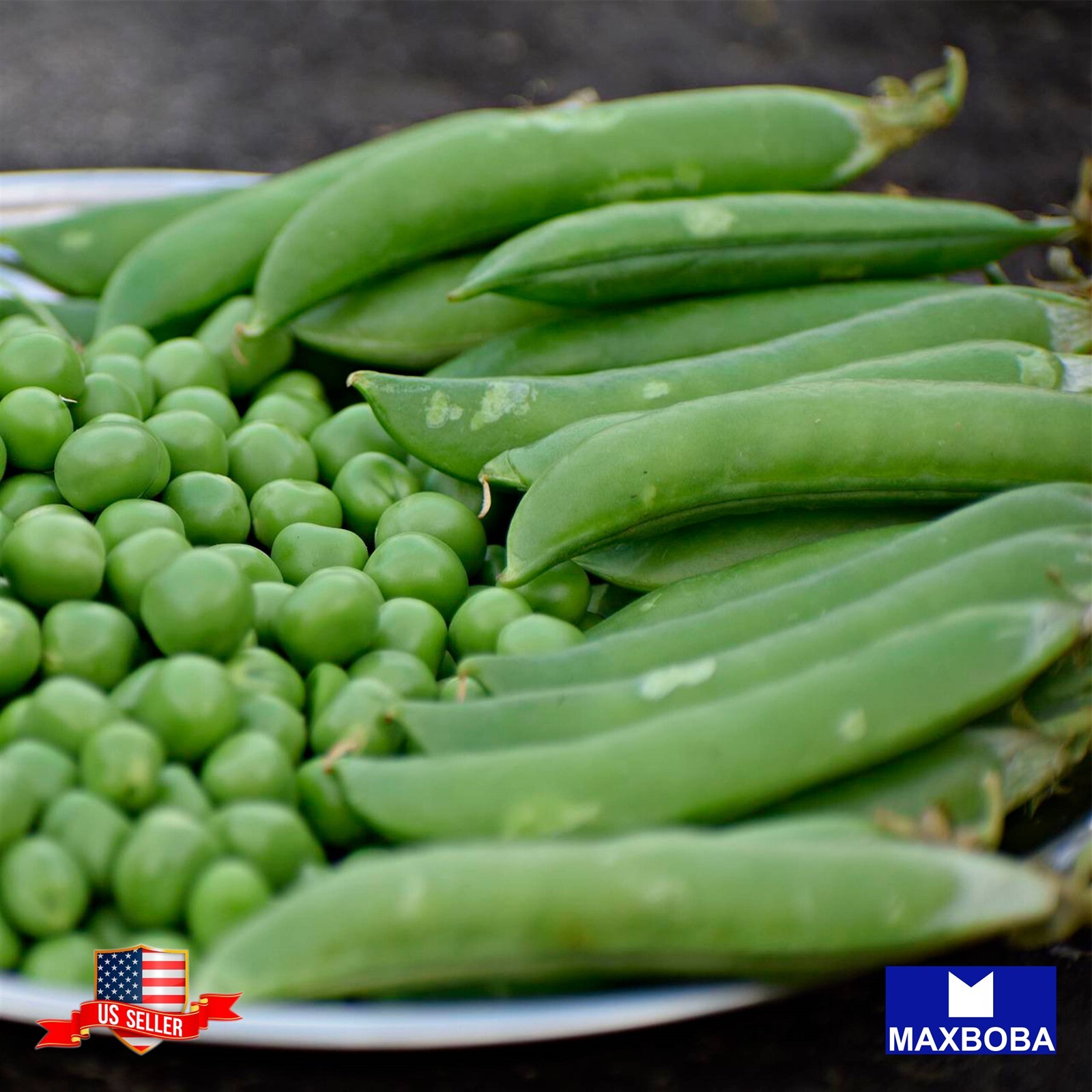 Pea Fresh Seeds Little Marvel Non-GMO Heirloom Garden Vegetable