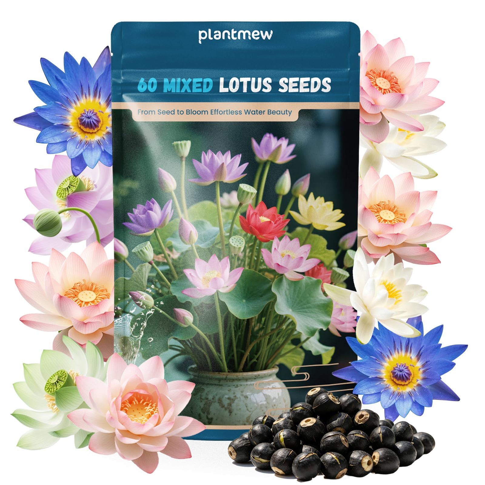 Lotus Seeds for Planting in Water – 60 PCS Mixed Bowl Lotus Seeds, Water Lily…