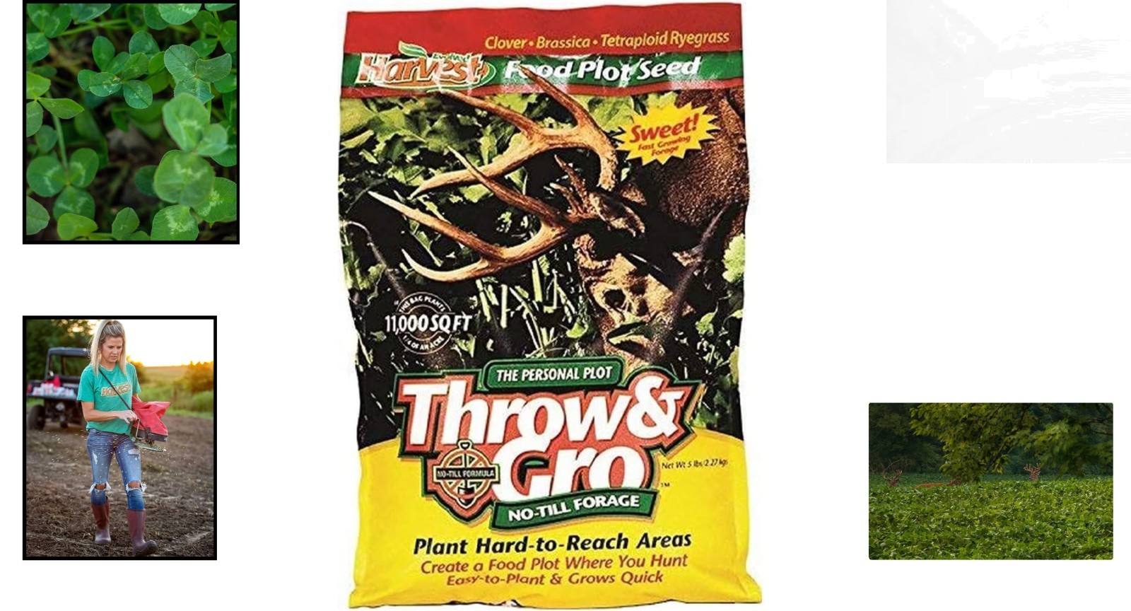 Nutrient-Rich Evolved Harvest No-Till Deer Forage Seeds – 5 Lbs for Rapid Growth