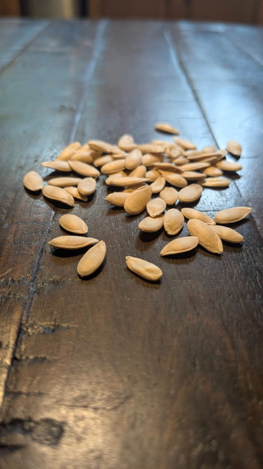 36 Seeds Collective Farm Woman (Kolkhoznitsa) Cantaloup Super Sweet NON-GMO