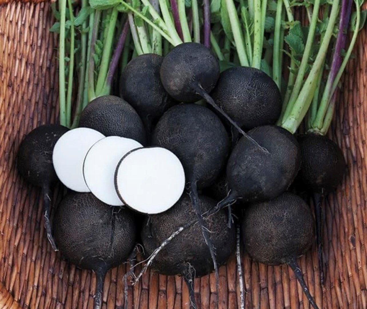 Rainbow Radish Collection | Seeds