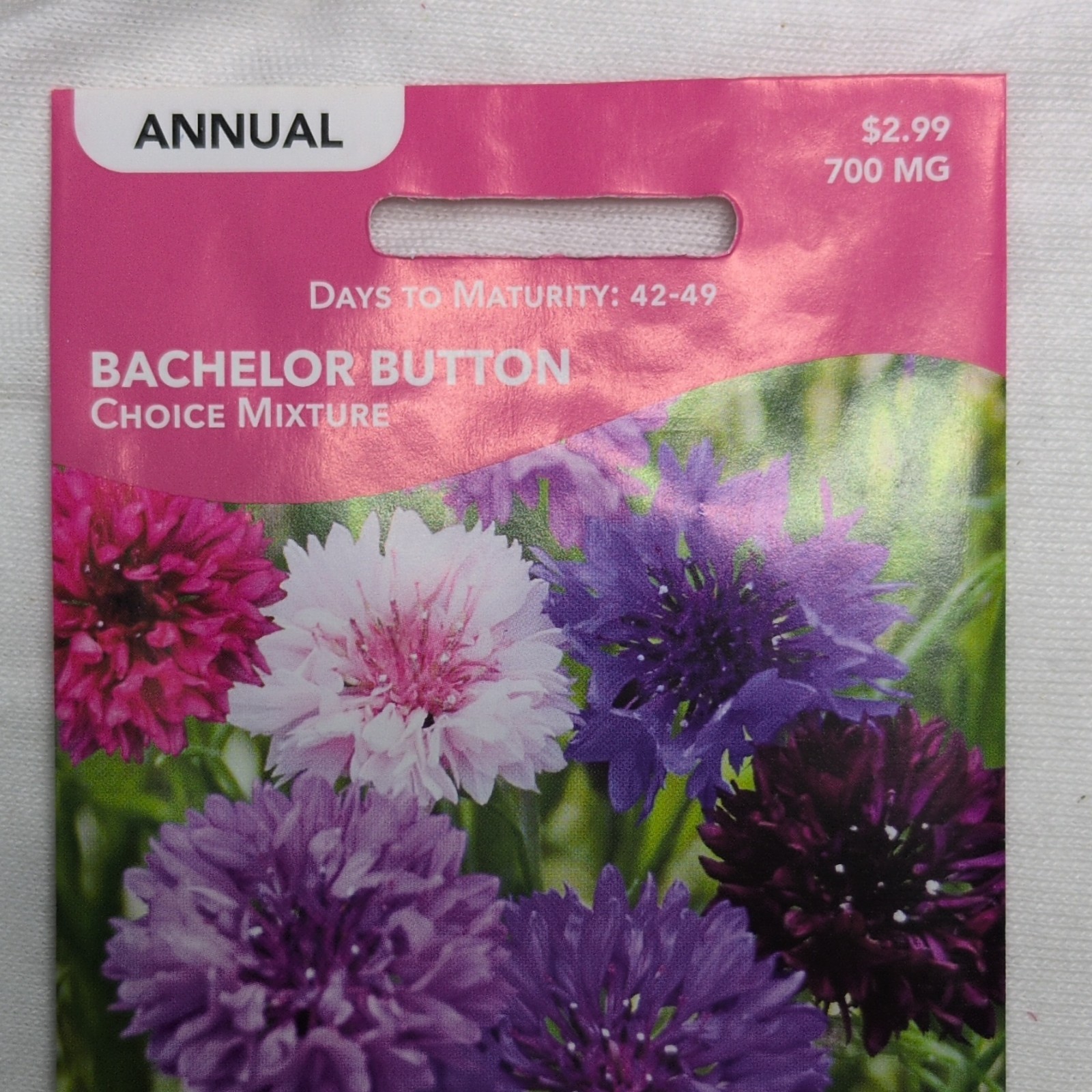 Livingston Bachelor Button Choice Mixture Annual Multicolor Full Sun Y1055