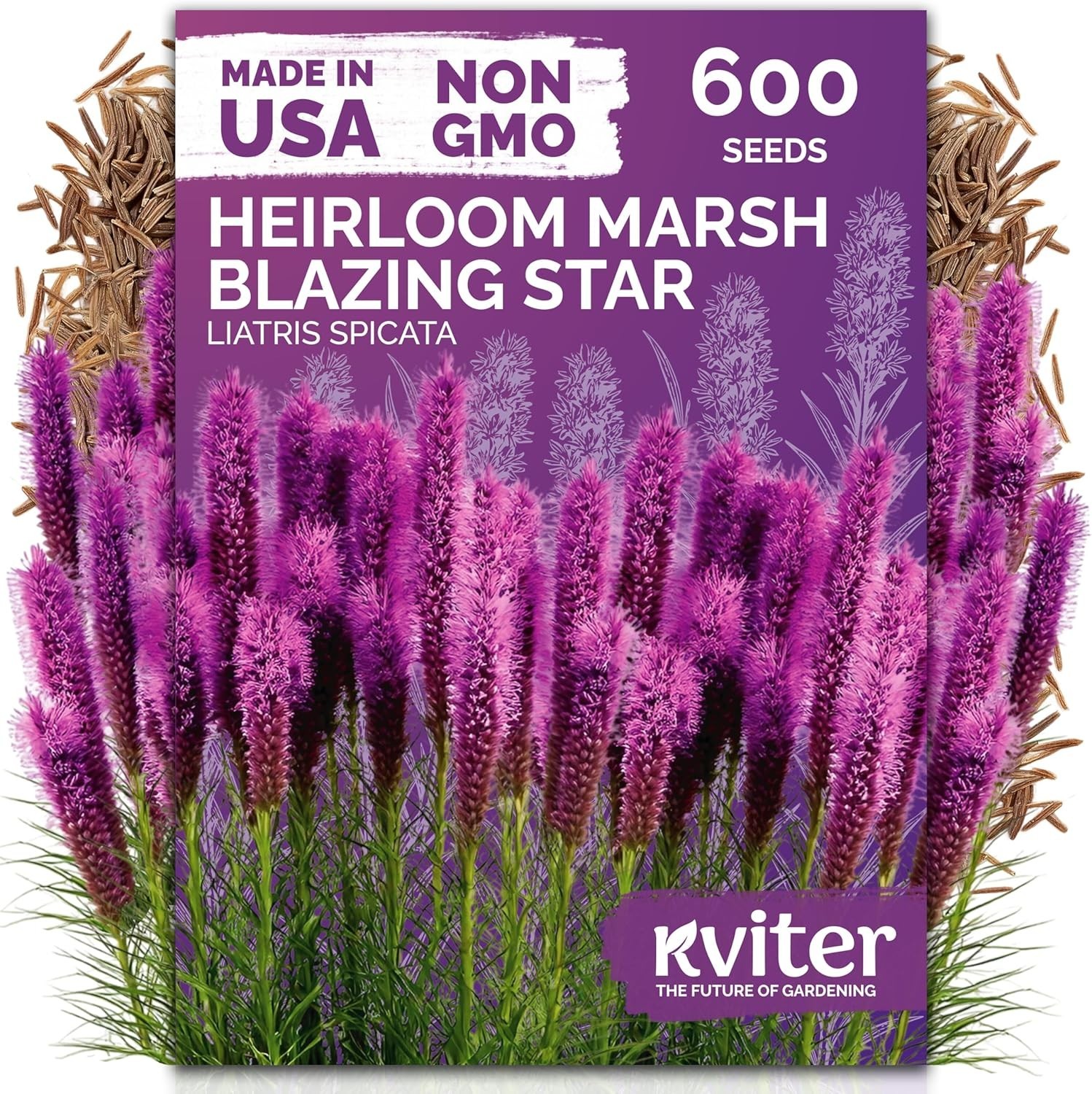 600 Pink Blazing Star Wildflower Seeds for Garden & Containers