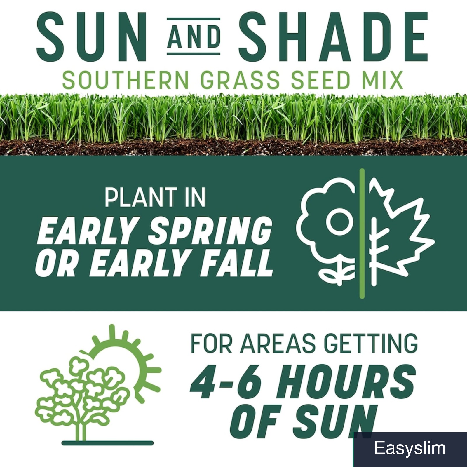 Grass Seed Tall Fescue 7 lb Sun & Shade South Mix with Fertilizer