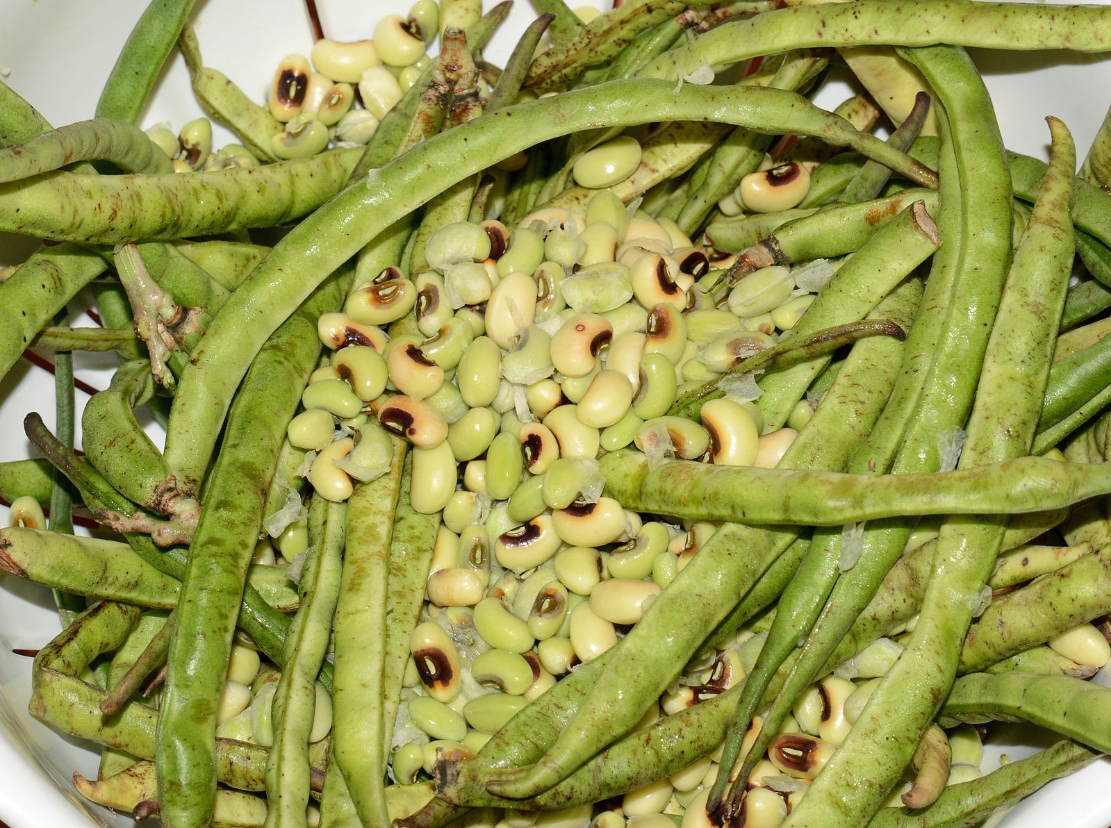 80 Non-GMO Black-eyed Bush Beans (Black-eyed Peas, Cowpeas) – Free Shipping