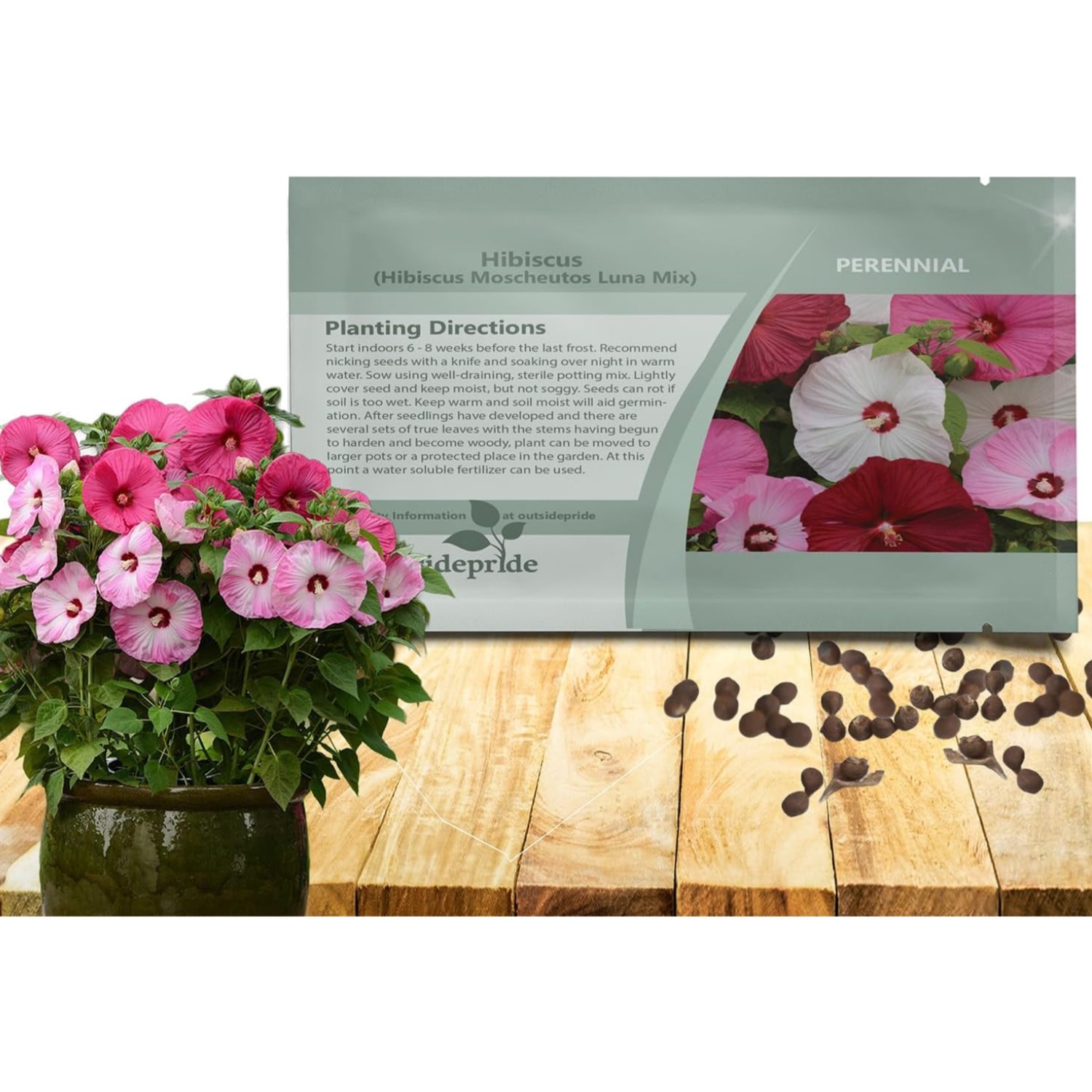 Flower Seeds 20 Pack Hibiscus Perennial for Garden Containers Large Blooms