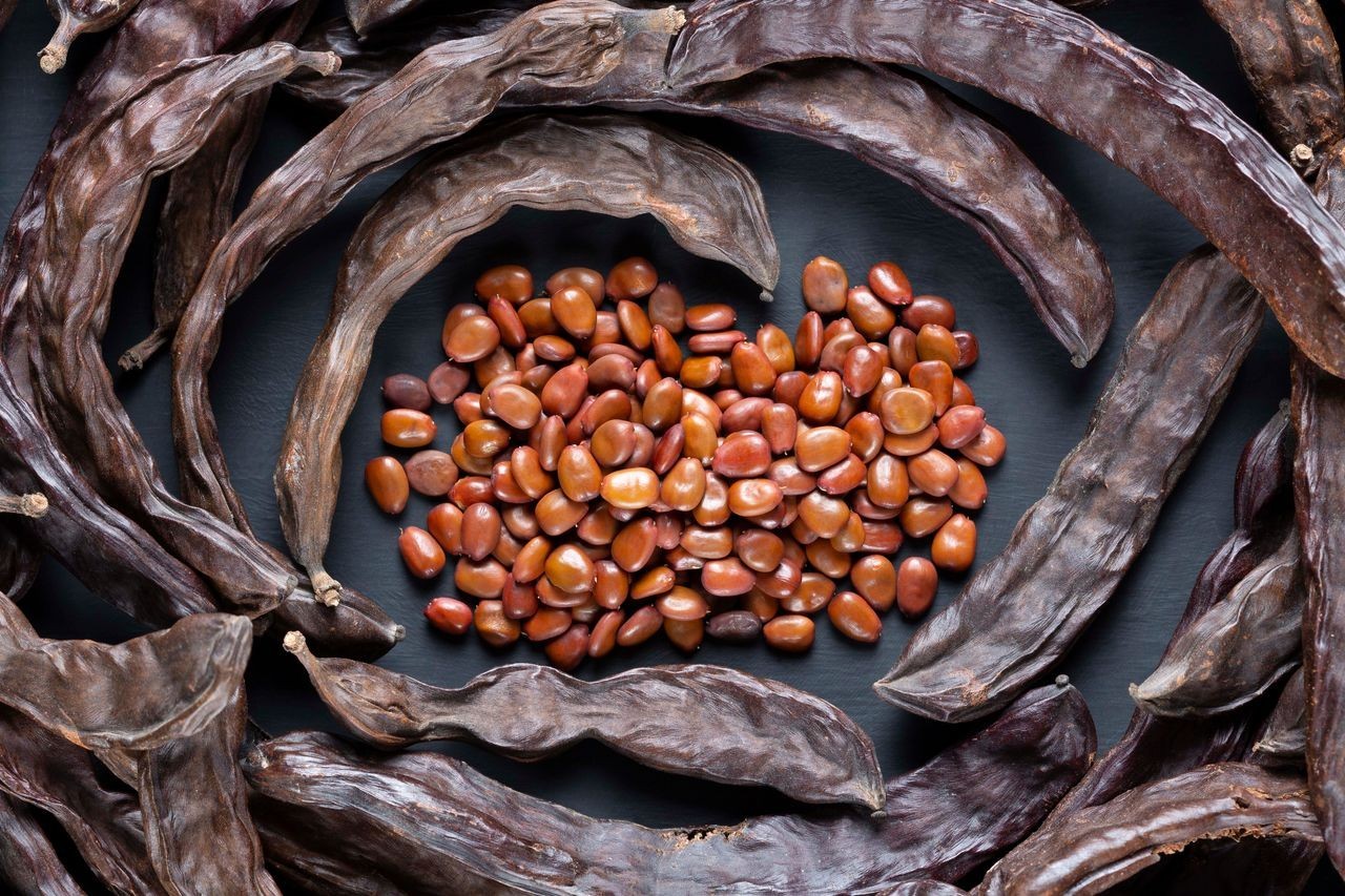 120 carob tree seeds خروب
