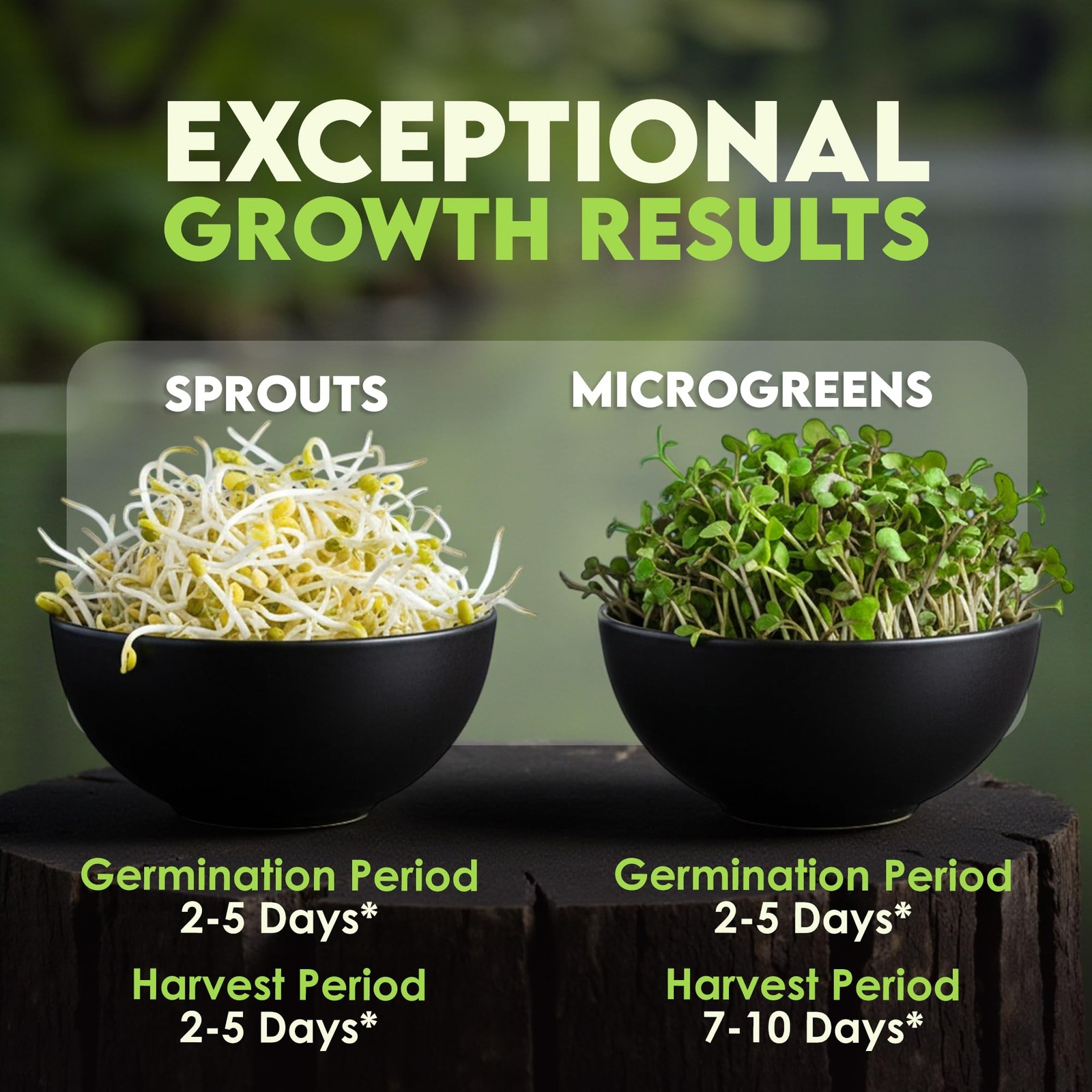 Organic Microgreen Seed Mix – 1lb Non-GMO Broccoli Alfalfa Radish