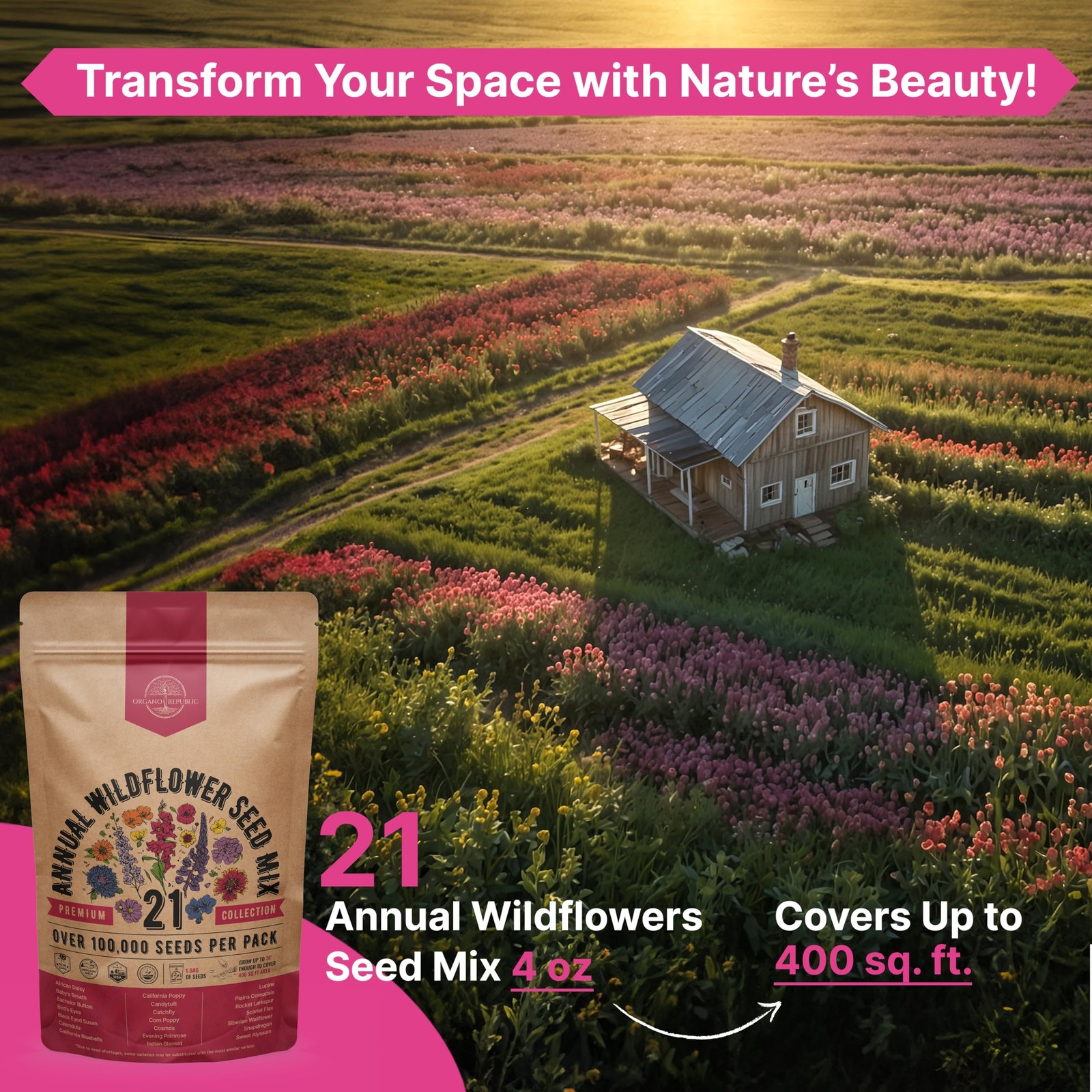 Wildflower Seed Mix for Indoor & Outdoor Gardening, 100,000+ NonGMO Seeds