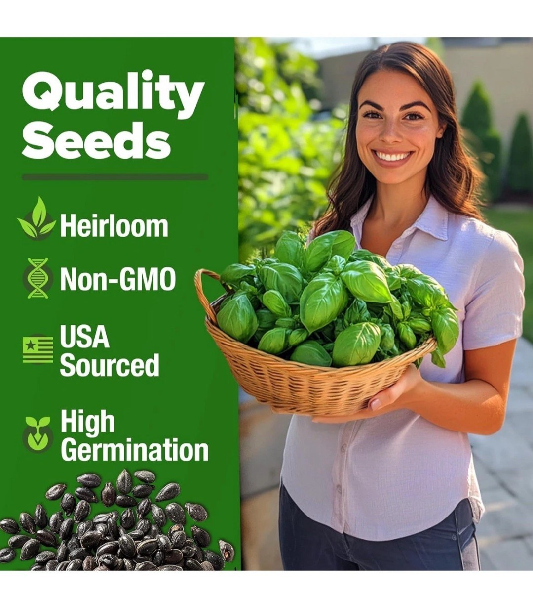 🔥Genovese Sweet Basil Seeds 100 Italian Pesto Herb Garden Heirloom Non-GMO🇺🇸