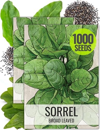 Large Leaf Sorrel Seeds for Planting – Heirloom Non-GMO & Untreated Medicinal