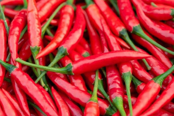 Cayenne Pepper Seeds for Planting, 200 Hot Pepper Seeds Cayenne Jalapeno, Non…