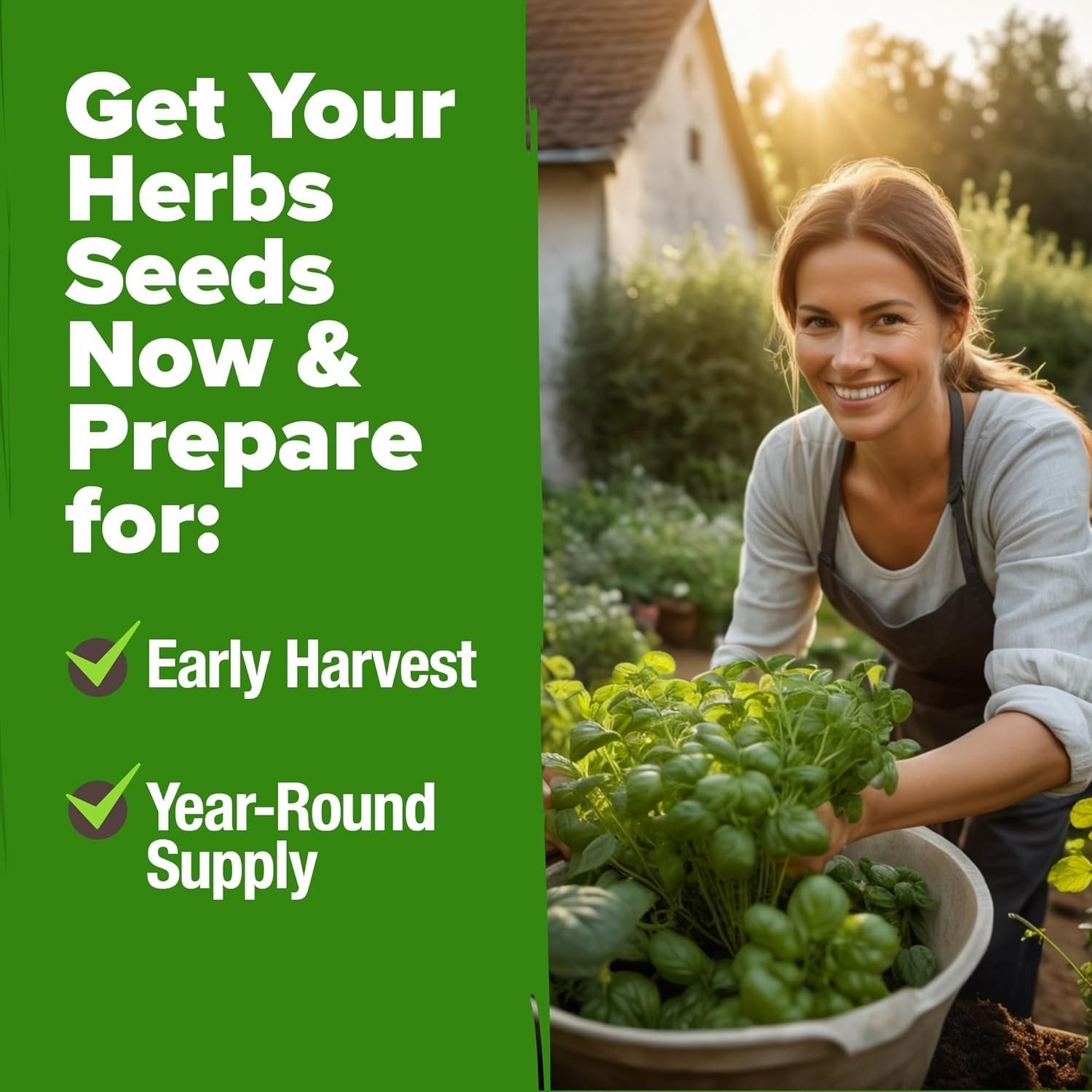 Sustainable Fresh Herb Seeds – 3000 Seeds for Culinary Excellence -Round