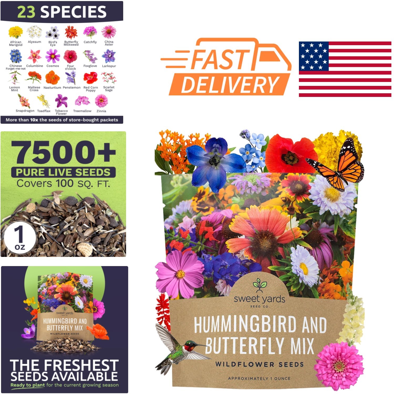 Wildflower Seeds Butterfly and Hummingbird Mix 1 Ounce 7500 Seeds Colorful Blend