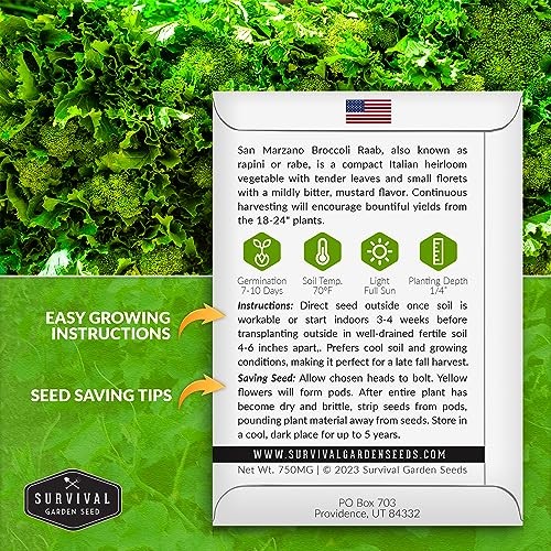 San Marzano Raab Broccoli Rabe Seeds for Planting – Italian Heirloom Rapini 1