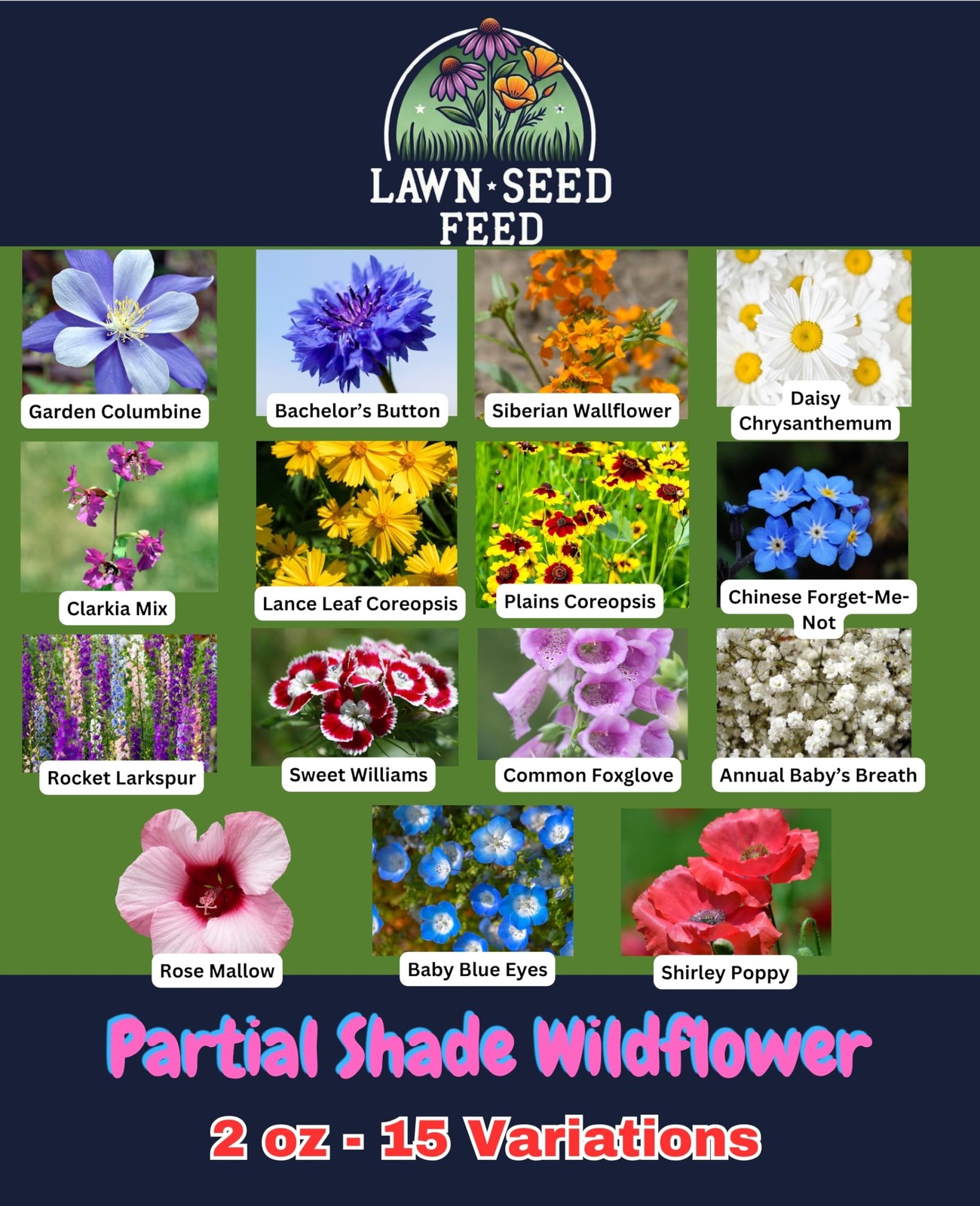 Partial Shade Wildflower Mix – (2oz) – Brighten shady spaces with vibrant blo…