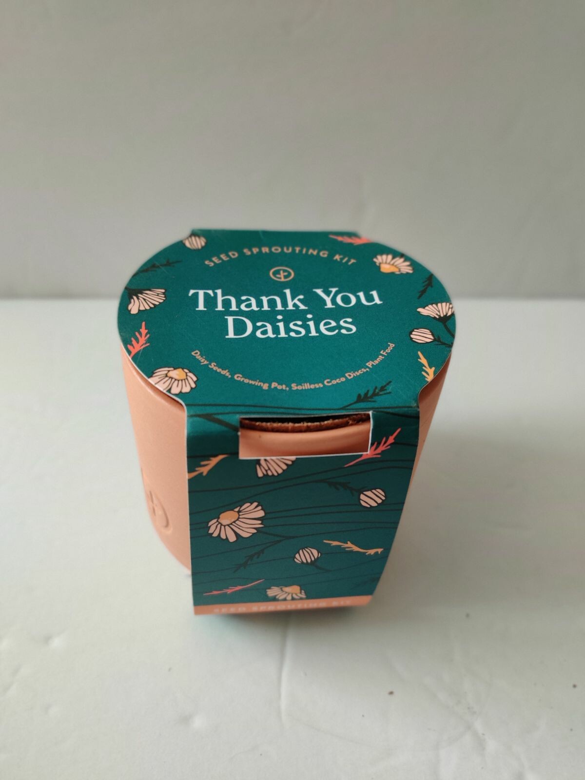 Modern Sprout Seed Sprouting Kit Thank You Daisies. Daisy Seeds Growing Pot