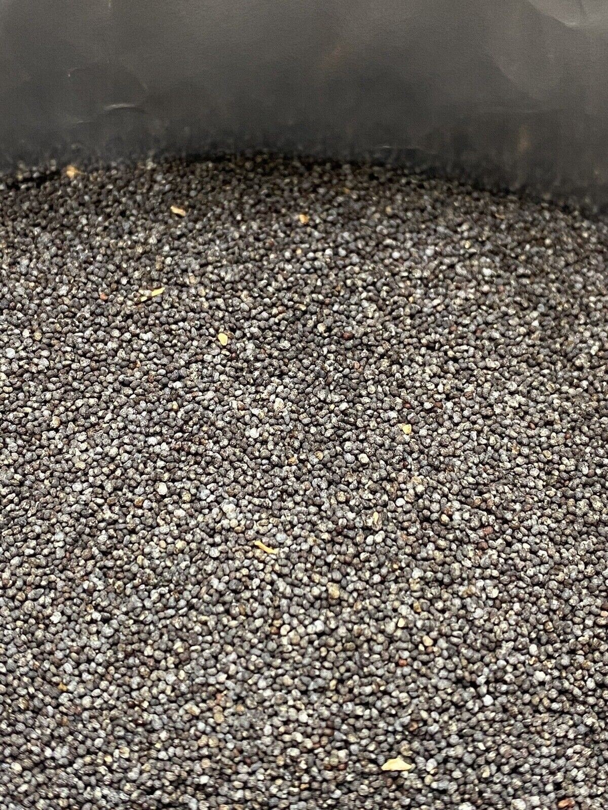 Poppy Seeds 6lb OVERNIGHT SHIPPING