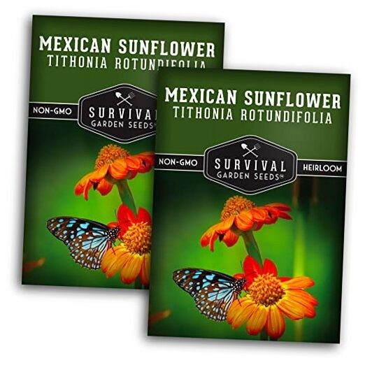 Mexican Sunflower Seeds for Planting – Tall Orange Tithonia Rotundifolia 2