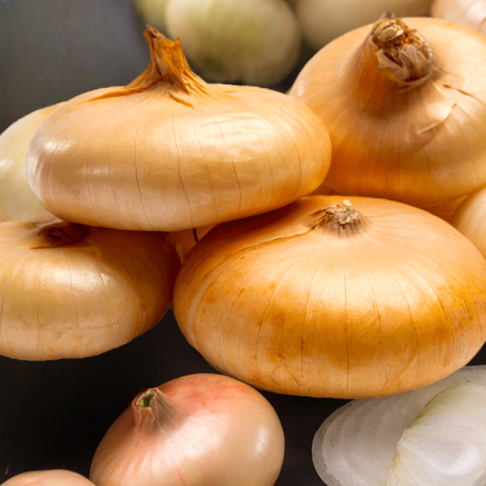 Borettana Yellow Cipollini Onion Seeds | Italian Flat Cipolla 2024 Fast Shipping