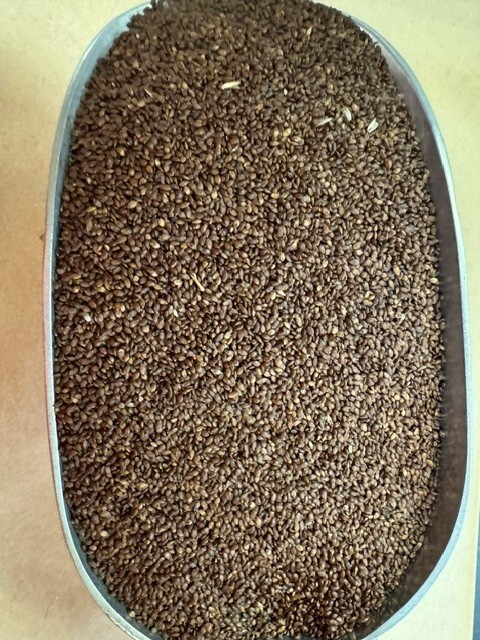 Centipede Grass Seed – Raw 5 LB FREE SHIPPING – WE SHIP FAST