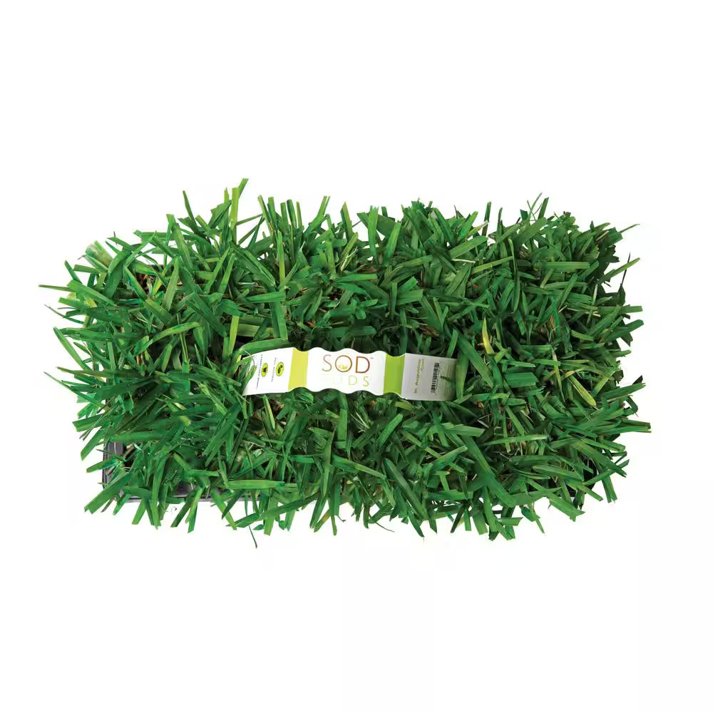Sodpods St. Augustine Provista 64-Pack