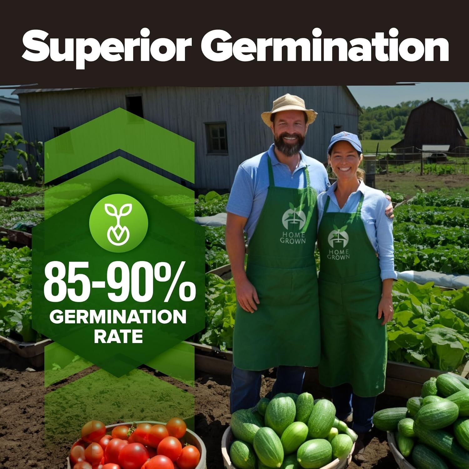 Vegetable Seeds Heirloom Non-GMO Garden Pack 16,000+ for Home Survival