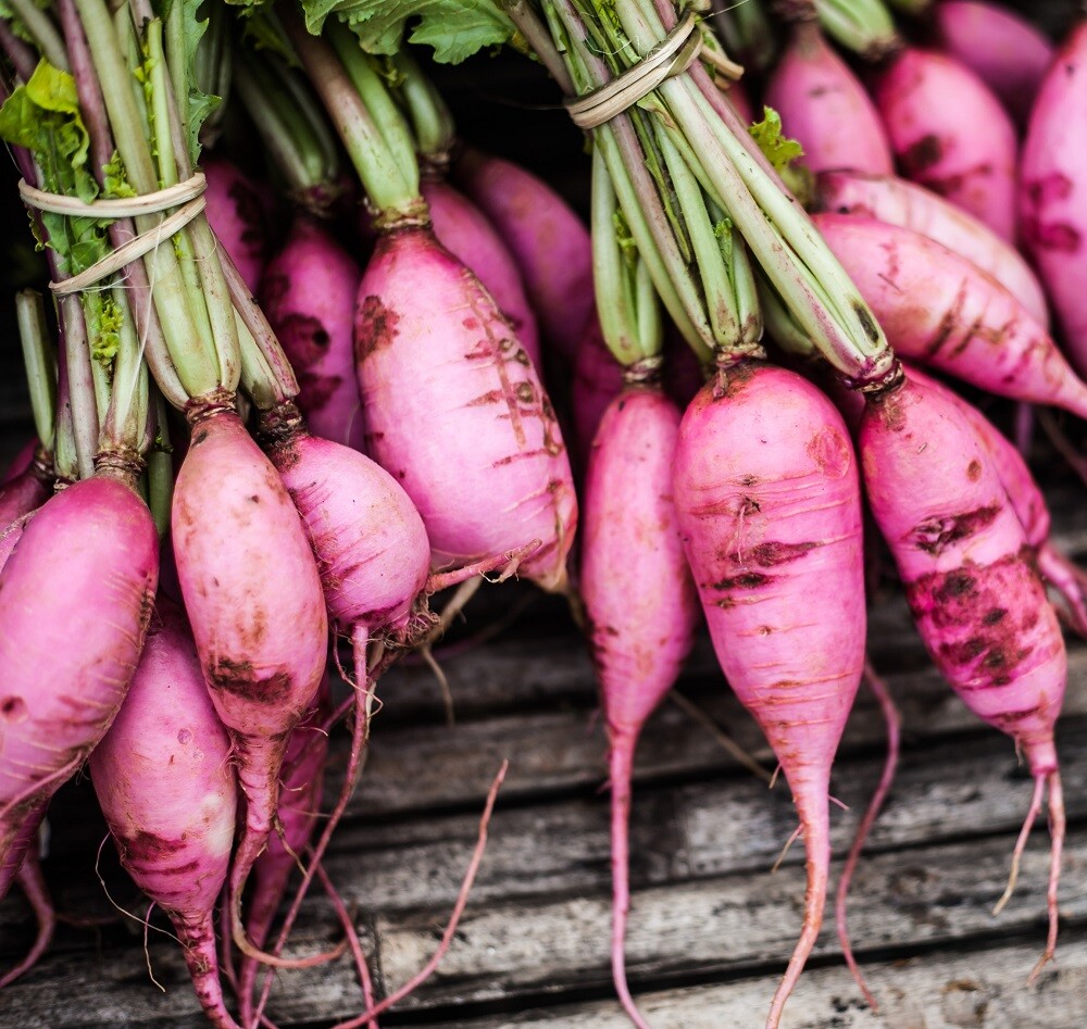 Radish Seeds – Fast Growing Heirloom Non GMO, Free Shipping, Purple Plum