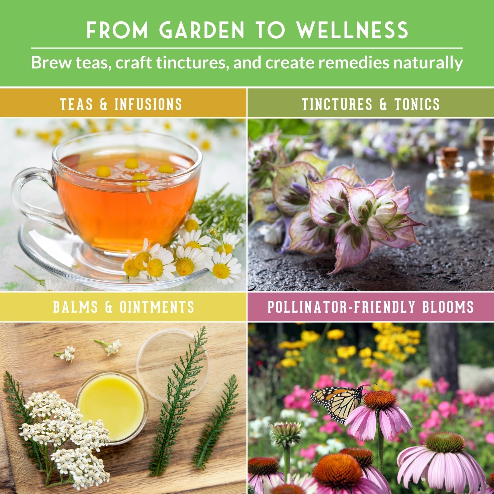 Heirloom Medicinal Herb Seeds Variety Pack – 36 Non-GMO Healing Herbs for Garden