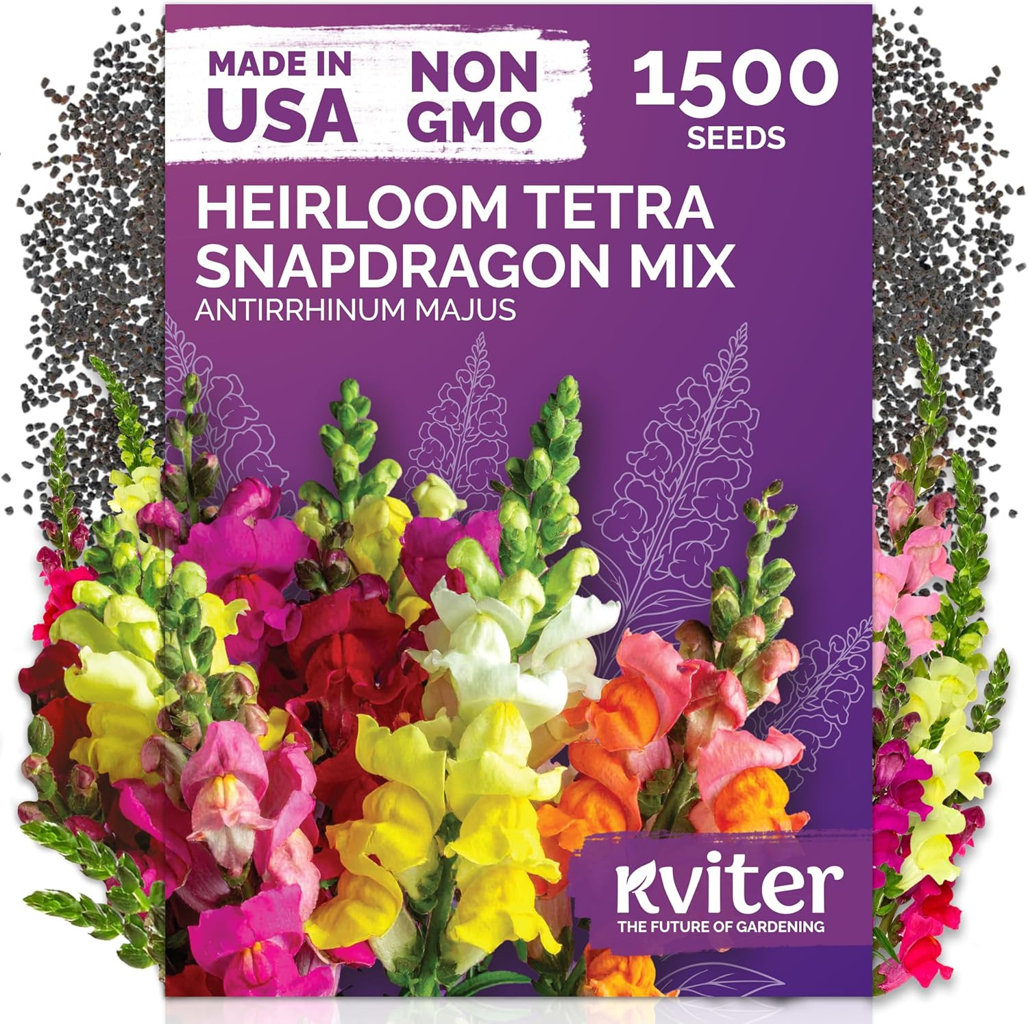 20,000 Creeping Thyme Seeds (Thymus Serpyllum) – Wild Thyme, Aromatic Ground Cov