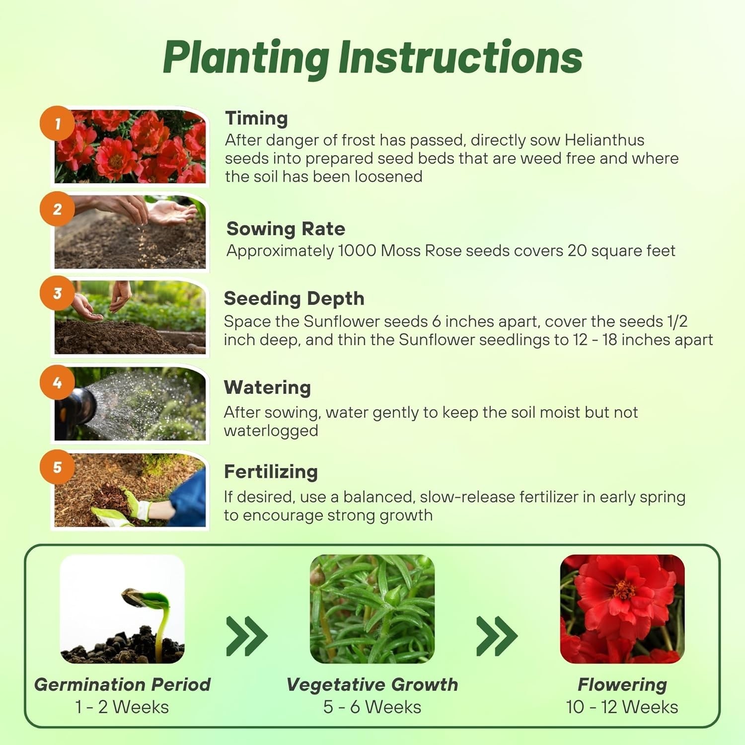 Red Moss Rose Seeds – 5000 Pcs Annual, Drought & Heat Tolerant, Pollinator Fr…