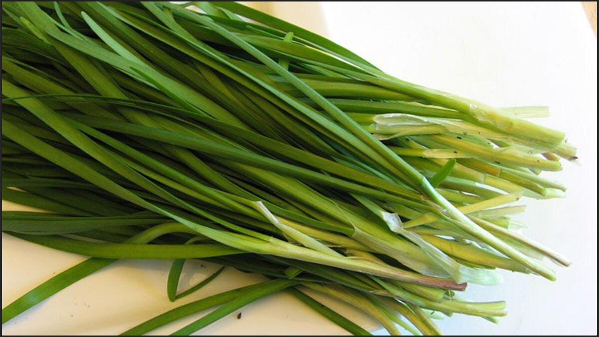 CHIVES SEEDS , HẠT HẸ LÁ | NON-GMO | Heirloom |