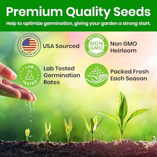 Zinnia Seeds for 2026 Planting Outdoors, Over 550 Dahlia Mix Multi Color
