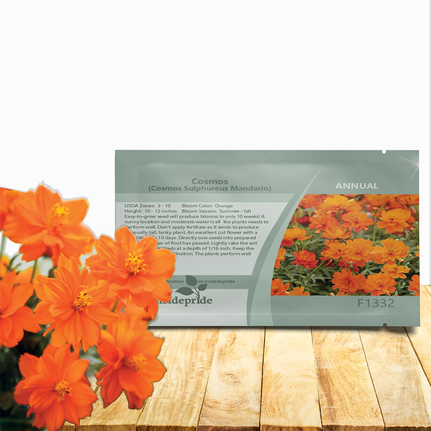 50 Seeds Drought Tolerant Cosmos Sulphureus Mandarin Orange Garden Flower