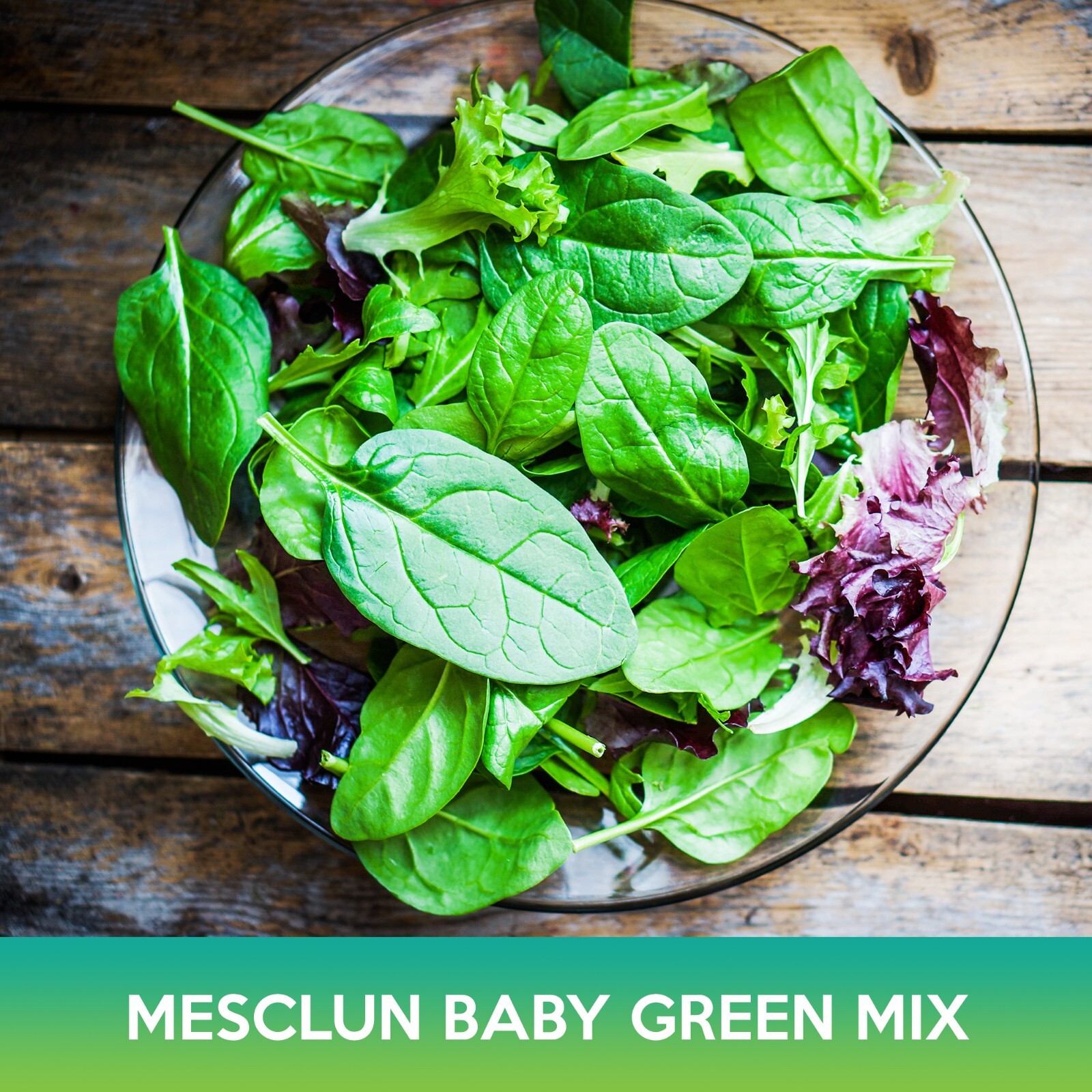 Mesclun Baby Green Mix Seeds