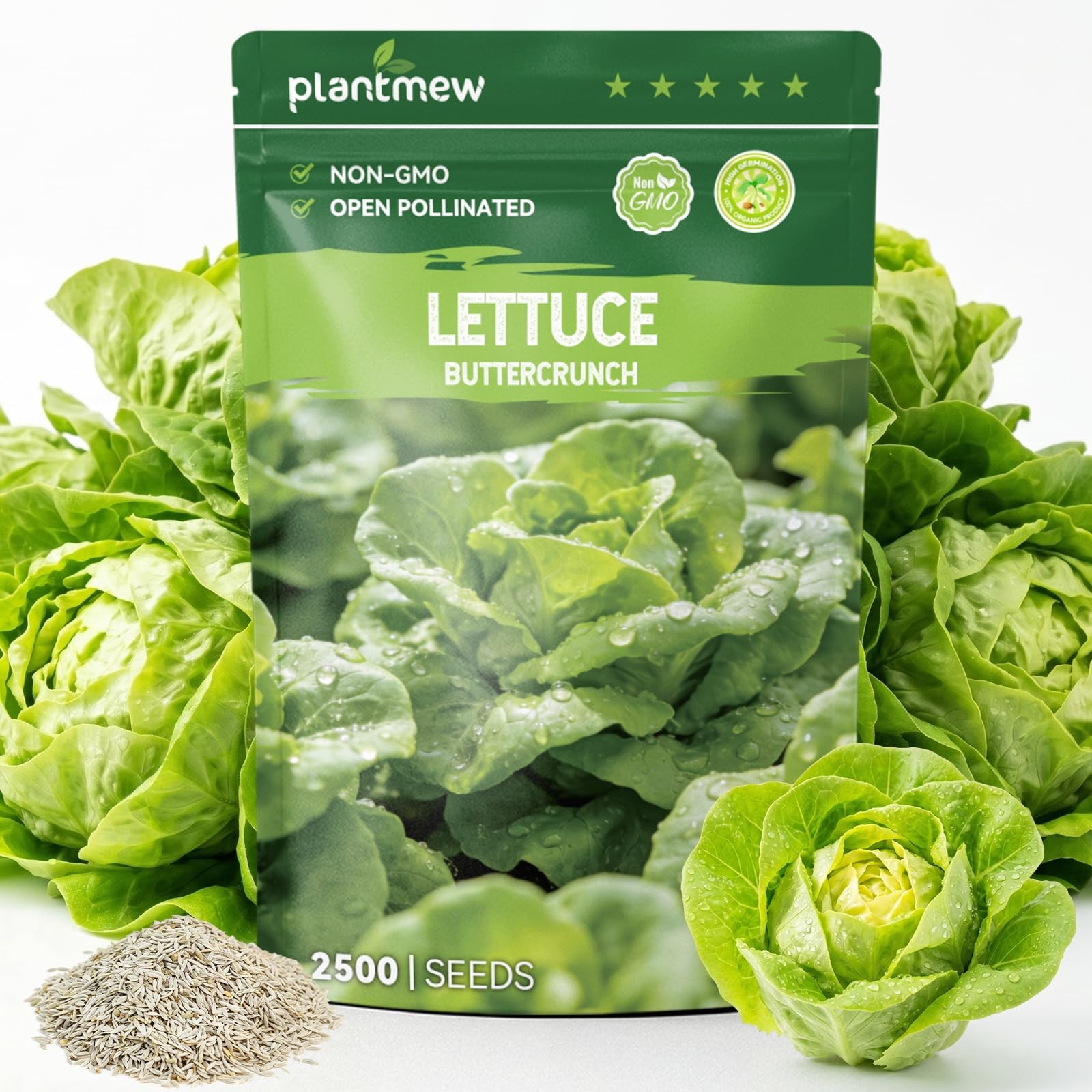 Buttercrunch Lettuce Seeds – 2500 Heirloom Seeds for Planting, Butter Lettuce…