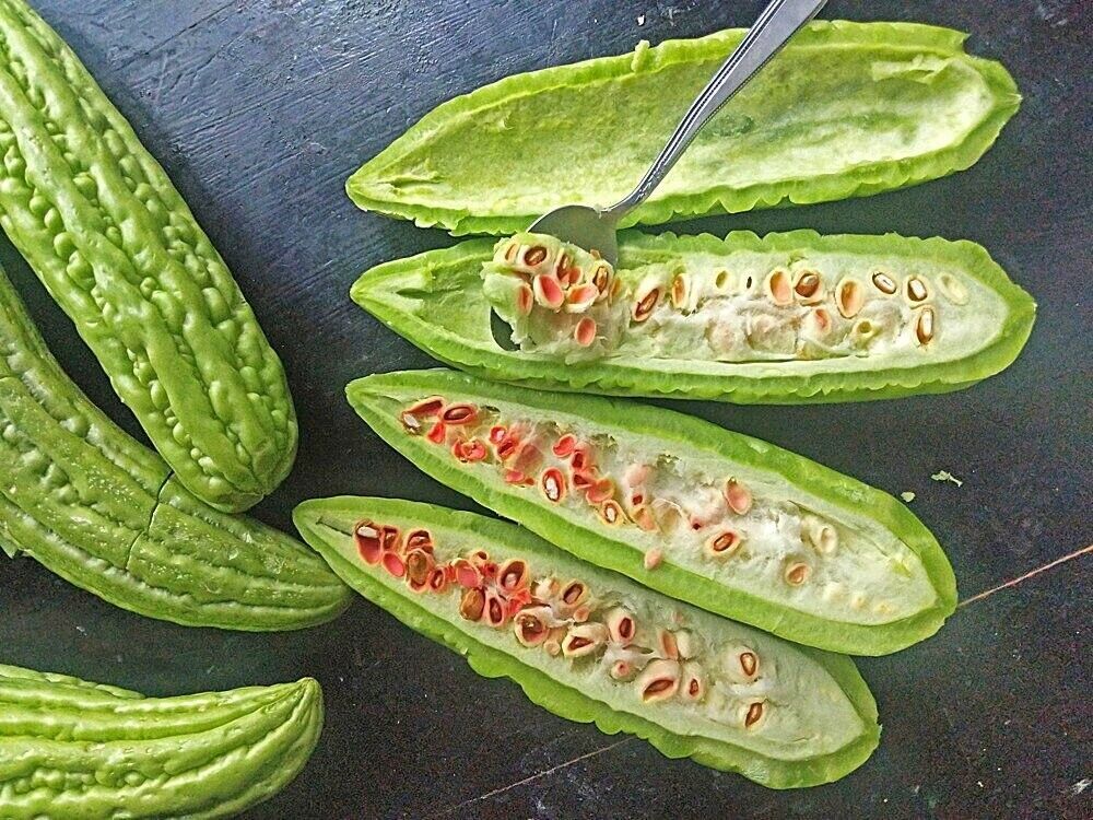 GREEN BITTER MELON, BALSAM PEAR, KU GUA, FOO GWAH, KHỔ QUA MỠ TRÁI DÀI, 苦瓜, 여주