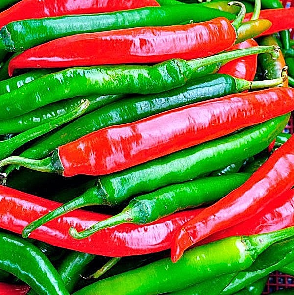 Corno Di Capra chili pepper seeds non-gmo open pollinated GREAT FRYER STUFFER