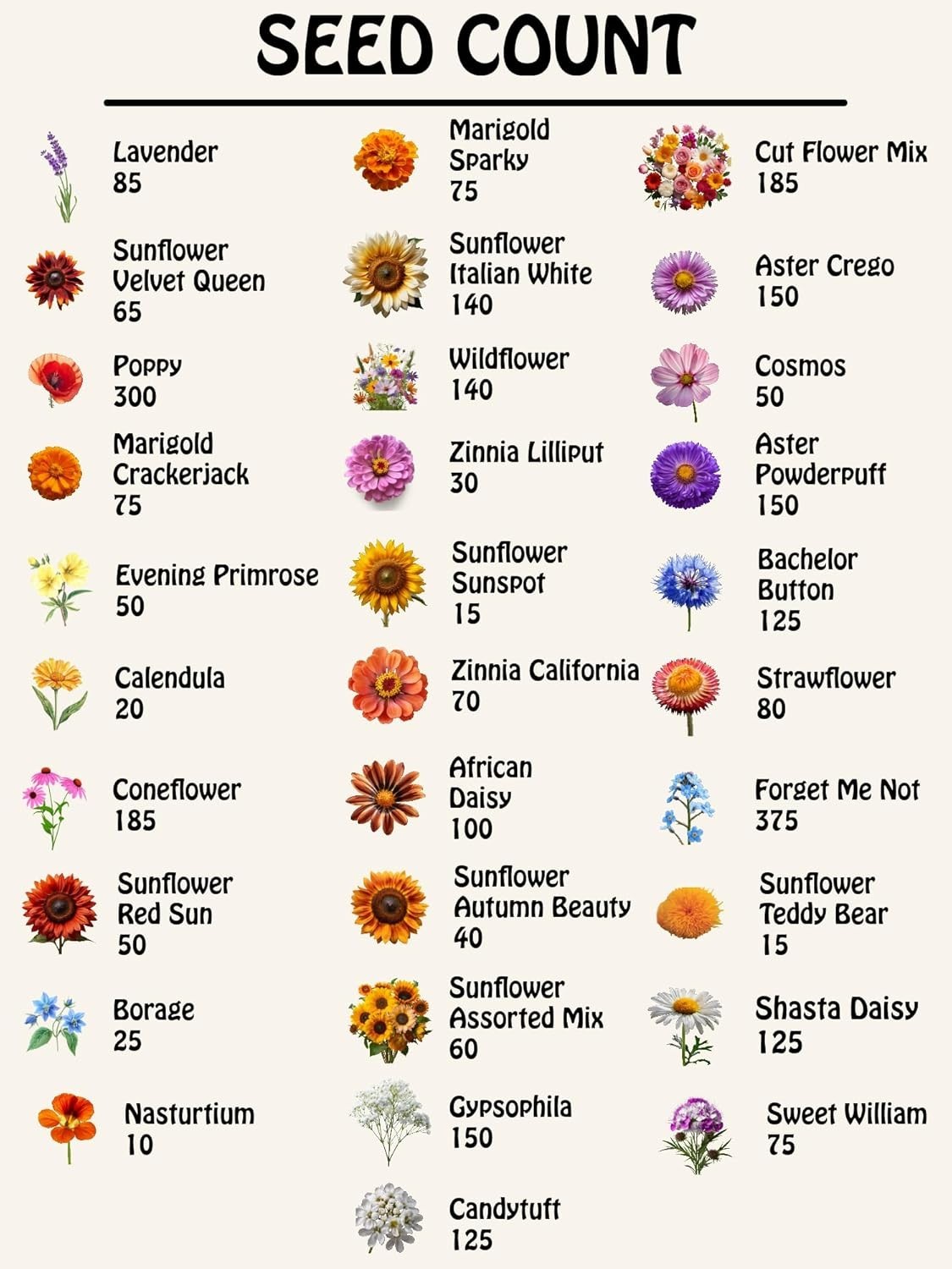 Set of 31 Premium Variety Flower Seed Packets – Heirloom Non-GMO