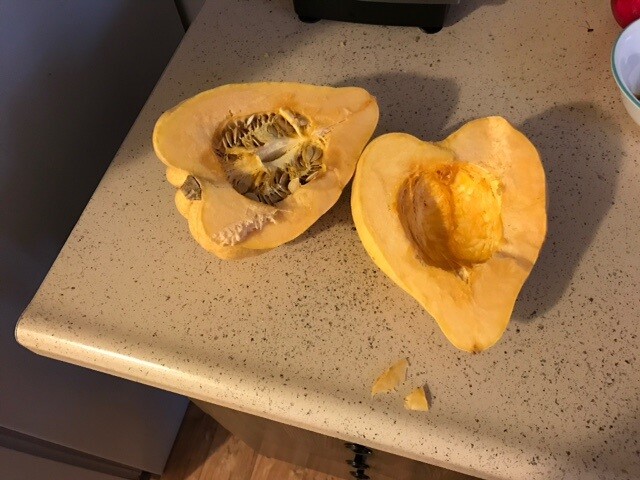 10 fresh Seeds Thelma Sanders Acorn Winter Squash Heirloom Rare