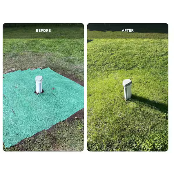 50 sq. ft. Quick Fix Year Round Green Mixture