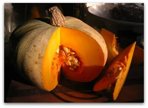 THREE SISTERS GARDEN SEEDS ~ OP SWEET CORN ~ SWEET MEAT SQUASH ~ GREEN POLE BEAN