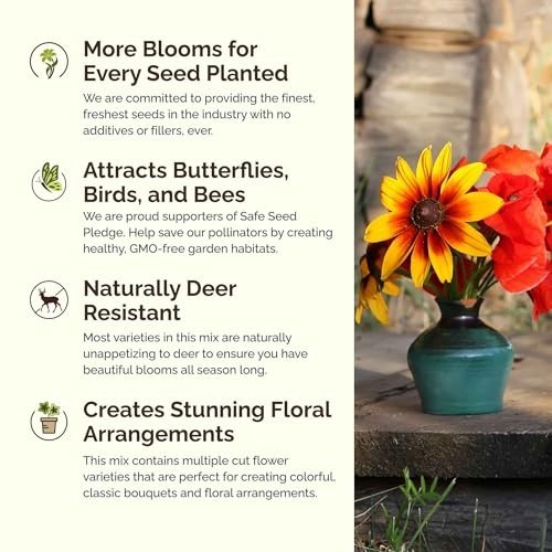 Southeast Wildflower Seed Mix – 1 lb, 480,000+ Seeds, Attracts Pollinators, Zone