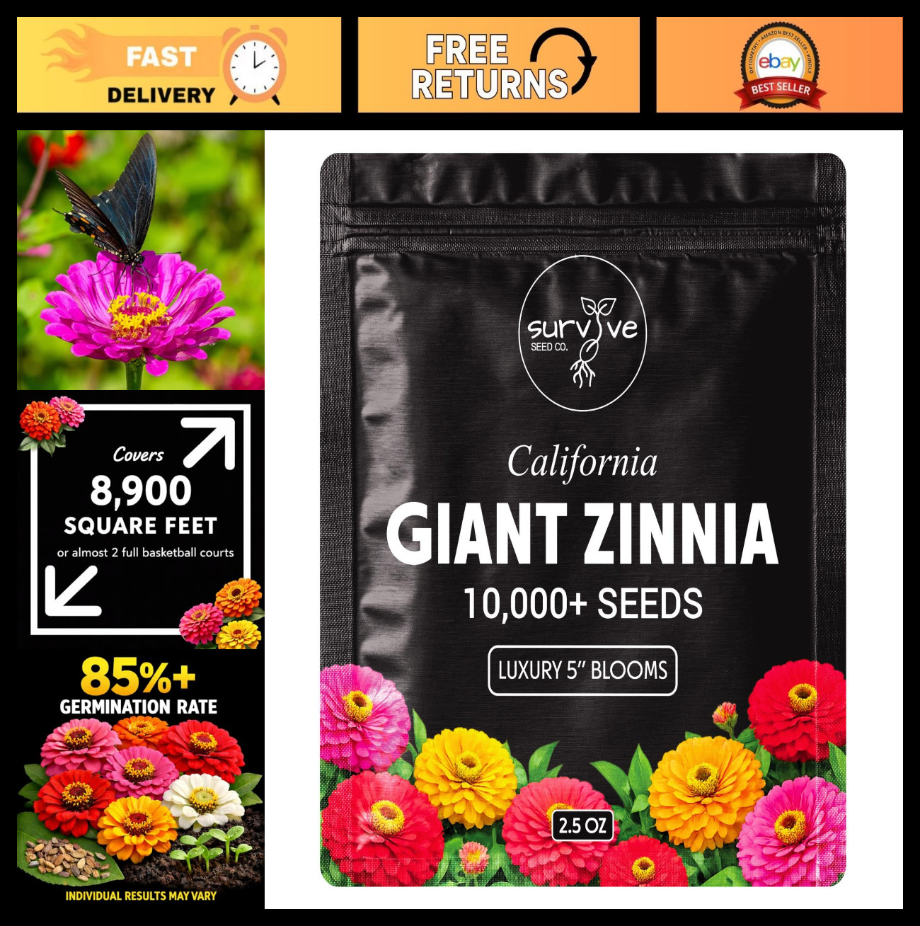 10,000 Non-GMO Zinnia Seeds – California Giants Wildflower Seeds for Planting, B