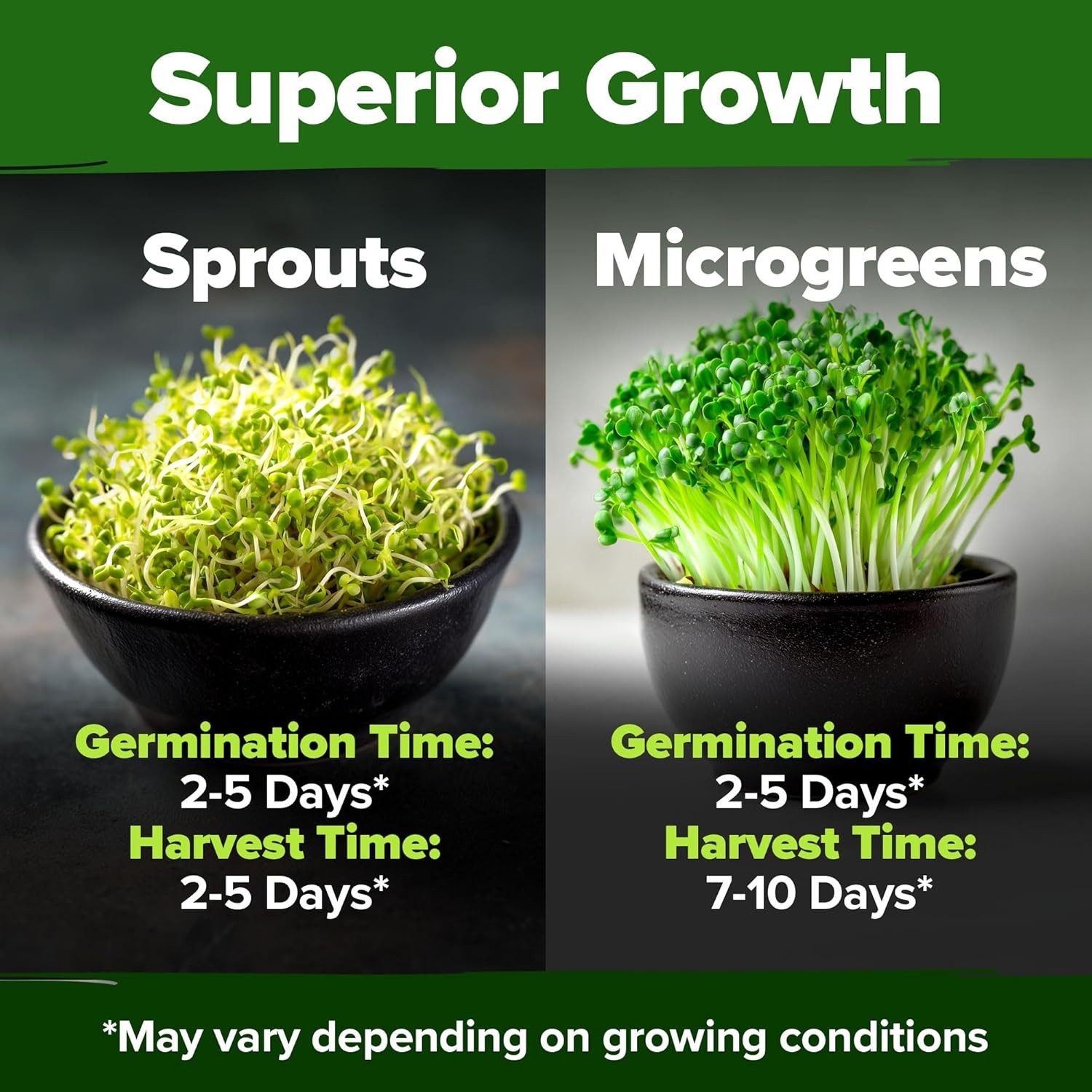 Broccoli Seeds 8 oz Bulk Heirloom Non-GMO, High Germination, Sulforaphane Ric…