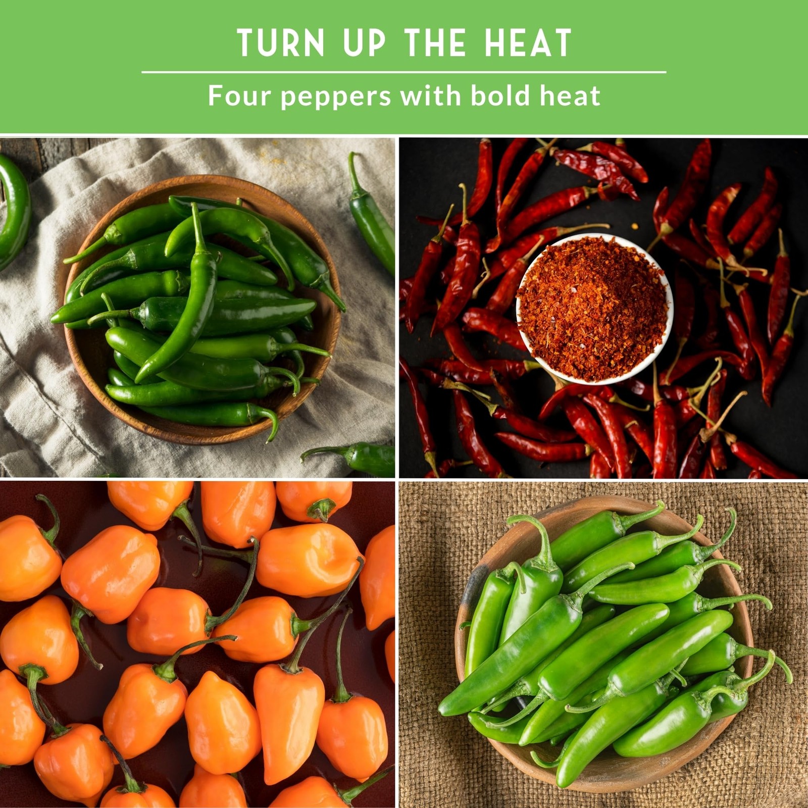 Hot Pepper Seeds Variety Pack for Planting | 4 Varieties: Jalapeno, Serrano, …