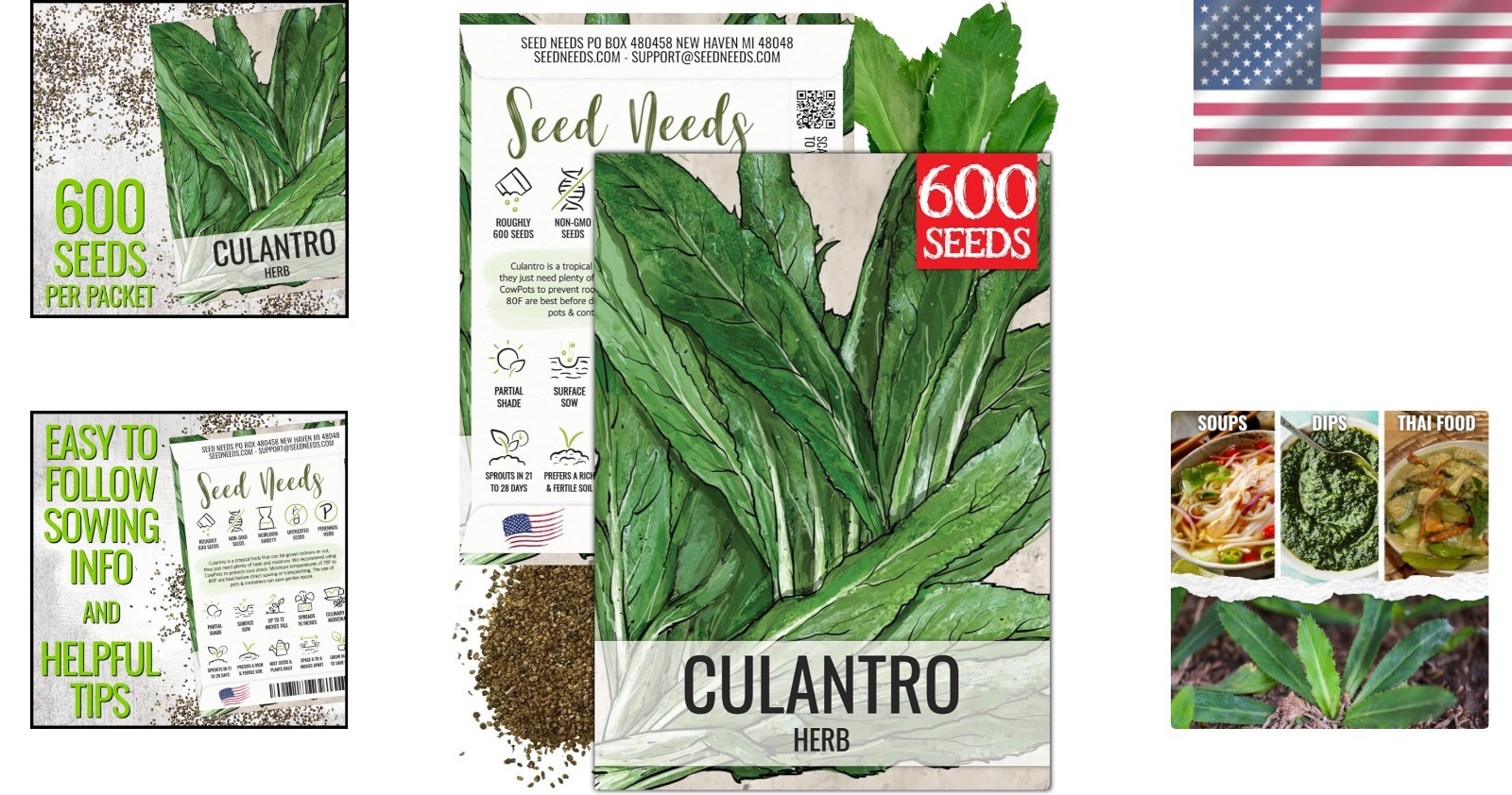 Plant Fresh Culantro Seeds – Non-GMO Heirloom Mexican Coriander for Culinary Use