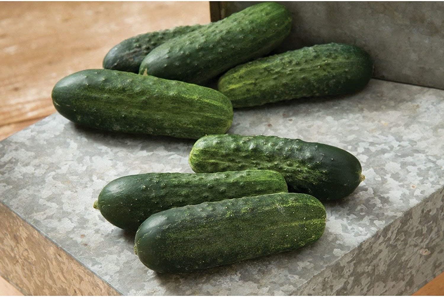 Excelsior Organic (F1) Hybrid Cucumber Seeds (25 Seed Pack)